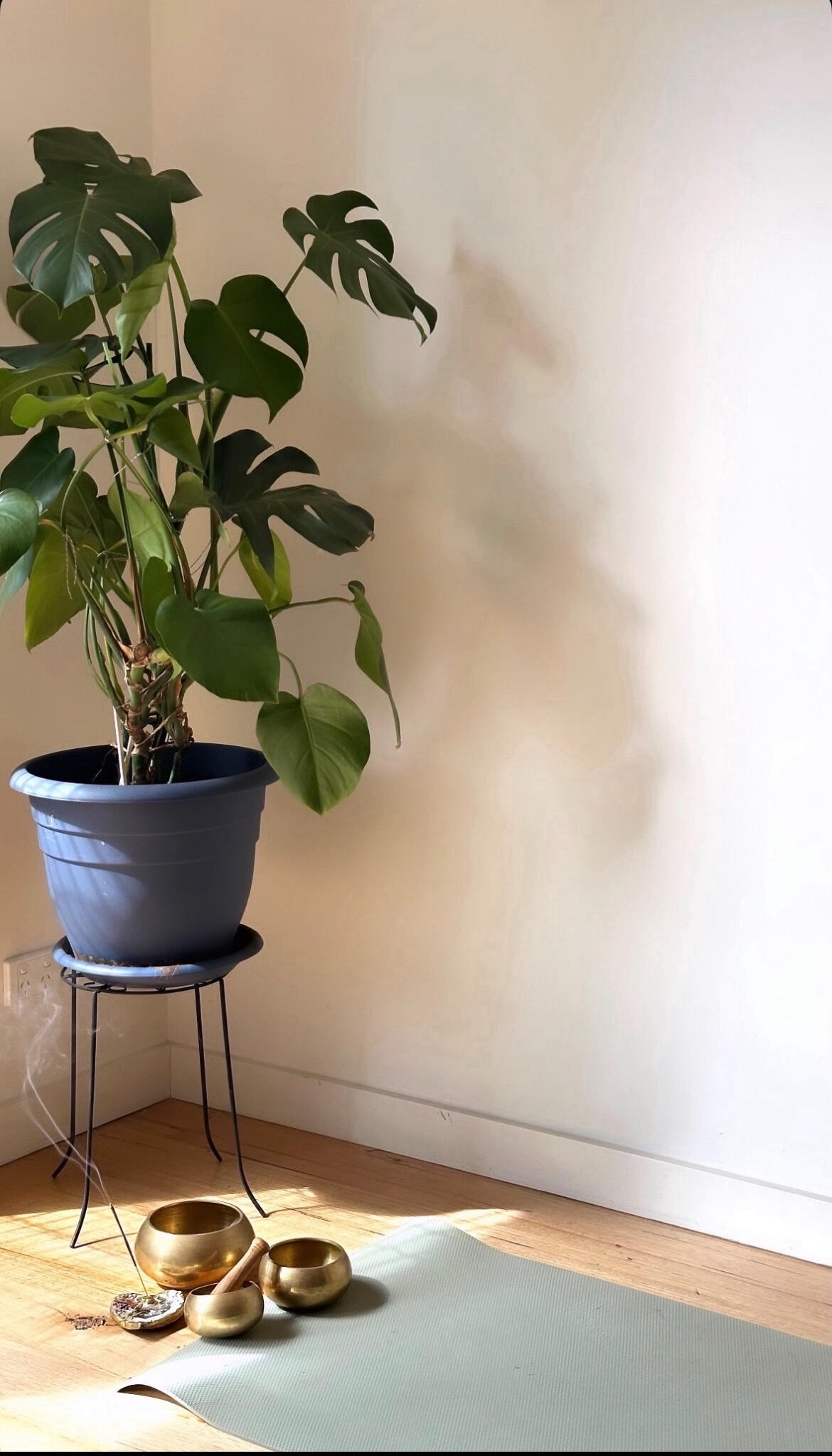 Connect with Melissa about Consciously Melissa, conscious living, writing, collaborations or Bohemian Somatics. Find contact details and ways to stay connected.